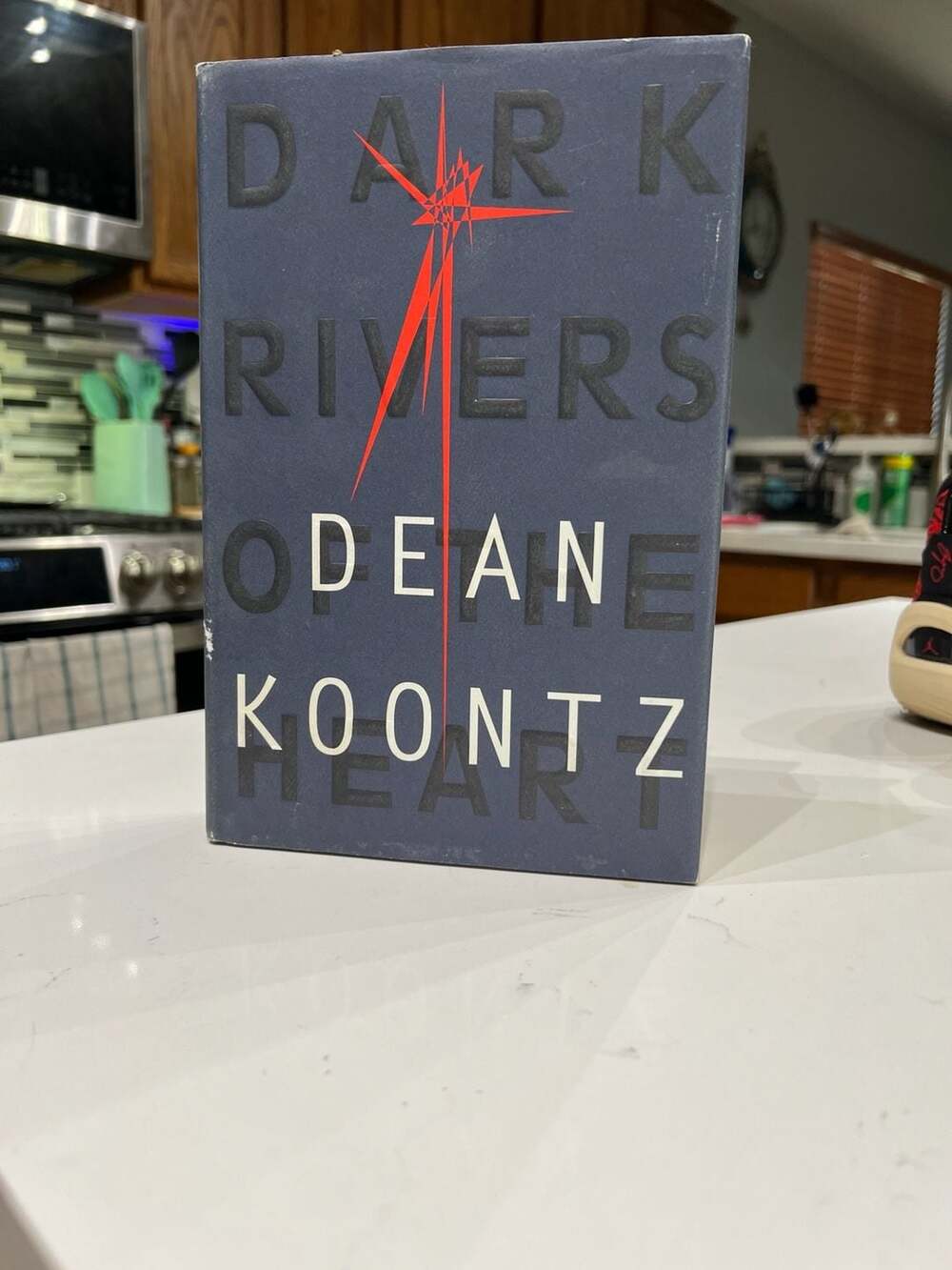 Dark Rivers of the Heart by Dean Koontz, First Trade Edition (1994)